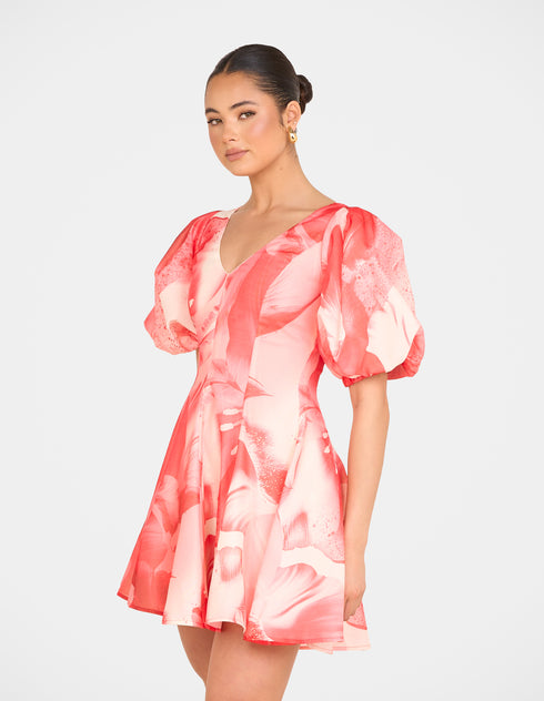 Tiffany Puff Sleeve Mini Dress